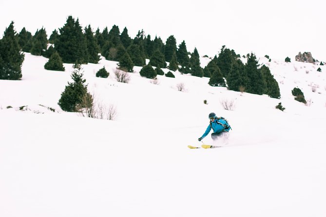 1-day Backcountry Tour - Who will get the most from this day