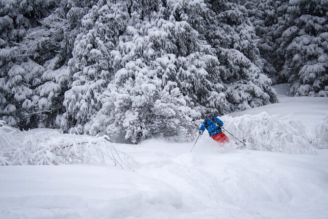 1-day Backcountry Tour - A route shaped around your ability