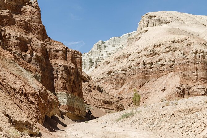 3 Days Tour: Altyn Emel NP, Charyn Canyon, Kaindy & Kolsay Lakes - The Aktau Mountains and their painted-rock appearance