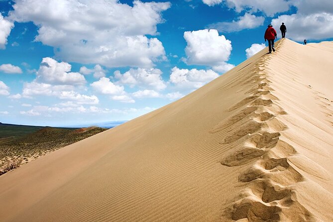 3 Days Tour: Altyn Emel NP, Charyn Canyon, Kaindy & Kolsay Lakes - Flexibility, food, and the role of the guide