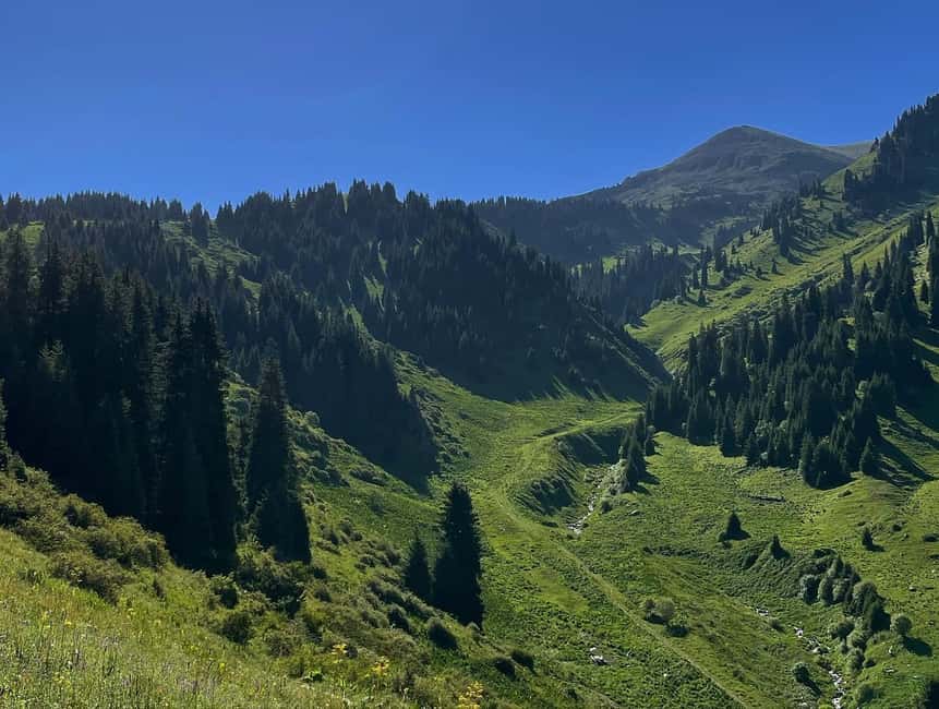 Almaty: Advanced Hiking - Four Peaks Hike - Furmanov Peak at 3,050 meters