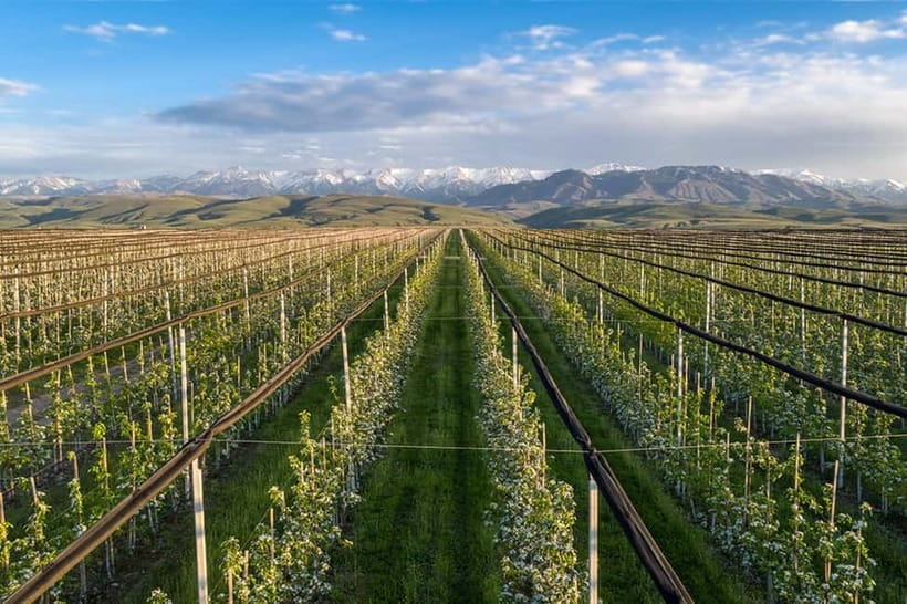 Almaty City: Big Almaty Lake Roundtrip Transfer and Tour - Who should book this experience?