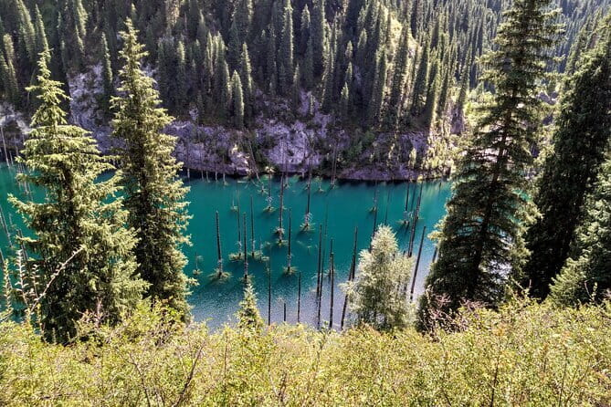 Almaty City Tour: A Journey Through Culture, History, and Nature - Lunch, transport, and the real value of $144