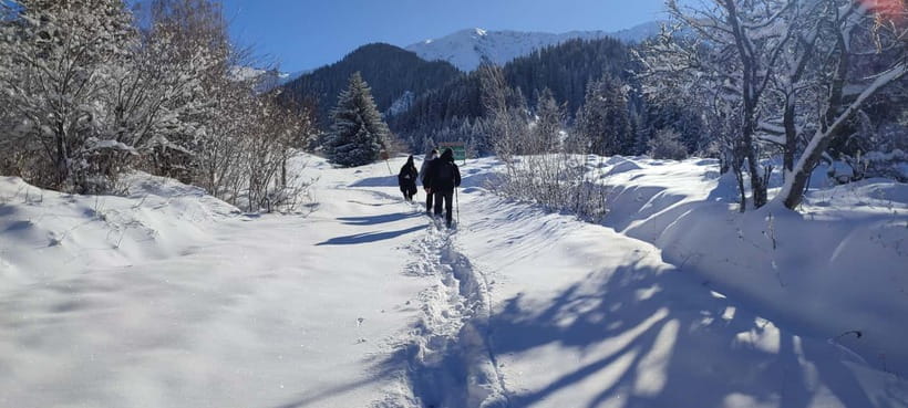 Almaty: Hiking to the High Mountain Pasture Kok Zhailau - The descent takes about two hours