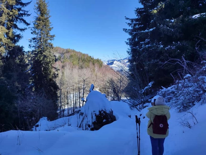 Almaty: Hiking to the High Mountain Pasture Kok Zhailau - What the $144 price includes