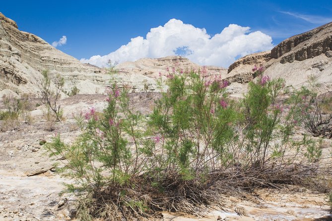 Altyn Emel. Singing dune and Aktau mountains 2 days tour - The Singing Dune is the first day’s main event