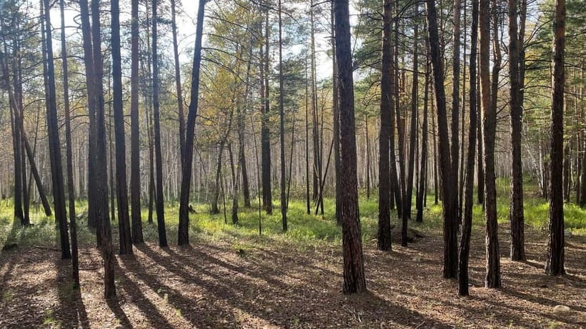 Astana: Burabay Oasis National Park Adventure - Horse riding in Burabay’s forest