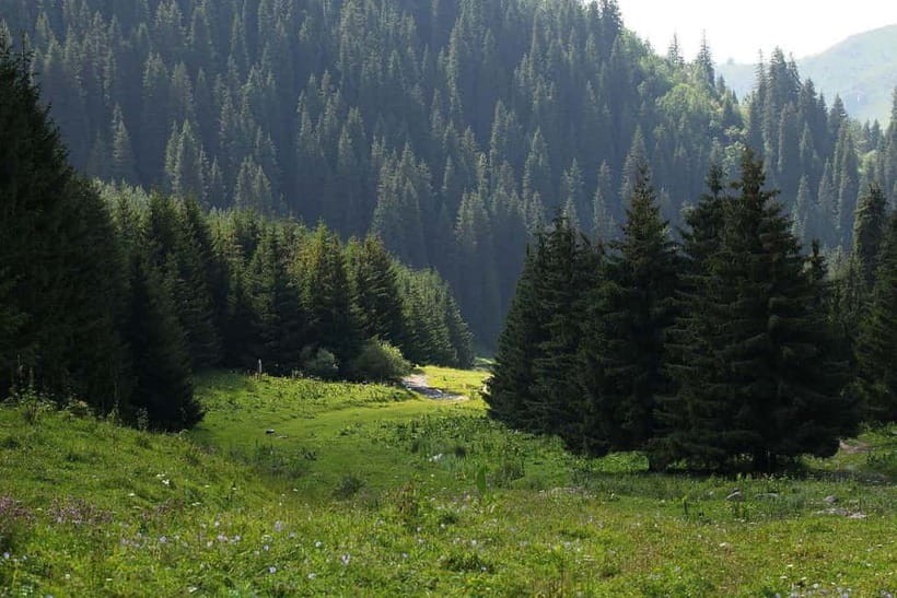 "Butakovka Waterfall" - a half day tour - A Waterfall Escape Close to Almaty