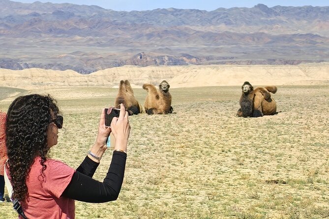 Discovering 6 Stunning Sights on Private Tour of Charyn Canyon - Austrian View and the turanga-lined river