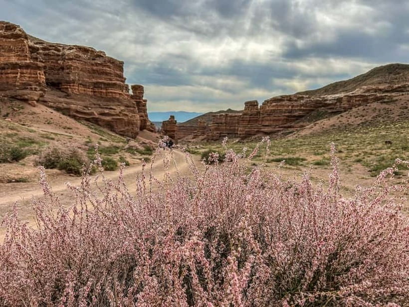 From Almaty: Charyn Canyon Full-Day Trip with Boxed Lunch - Why Charyn Canyon is worth the long ride