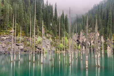 One Day Private Kolsay Lake, Charyn and Black canyon