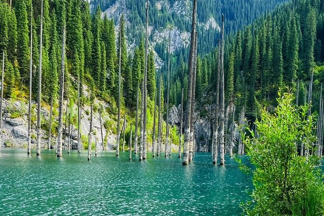 One day Private Tour to Charyn Canyon, Kaindy and Kolsay Lakes - The pace, comfort, and physical demands