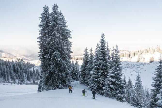 One Day Ski Tour Near Almaty - How Max’s guiding style suits different ability levels