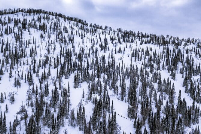 One Day Ski Tour Near Almaty - What the six-hour mountain itinerary feels like