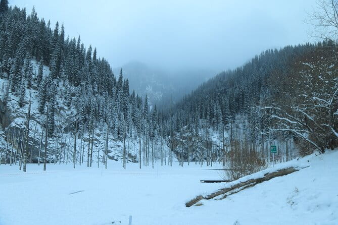Private Charyn Canyon, Kolsai Lake with Optional Kaindy Lake tour - Why this day trip covers so much of Almaty