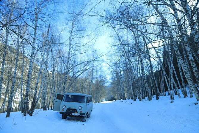 Private Charyn Canyon, Kolsai Lake with Optional Kaindy Lake tour - Who will get the most from this private tour