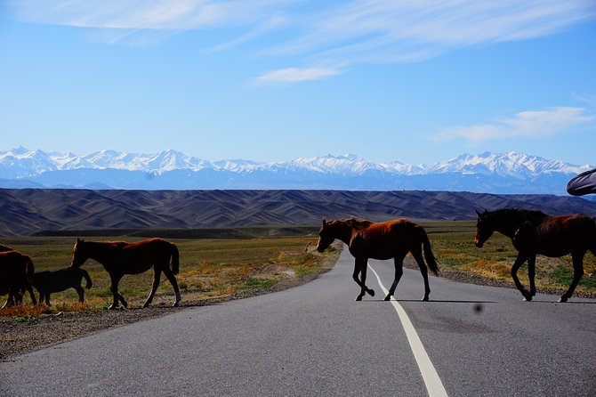 Private tour Almaty Region 3 days with Silktravel - Why this route works for a three-day escape