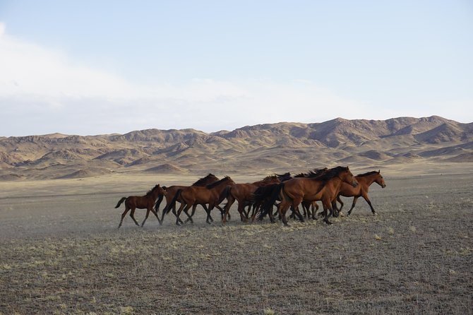 Private tour Almaty Region 3 days with Silktravel - Aktau and Katutau: desert rock with a different character