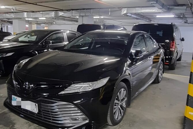 Private Transfer from Nursultan Nazarbayev (NQZ) Airport to Astana - Early morning arrivals and late-night landings
